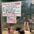 女の子動物園１ 11枚目