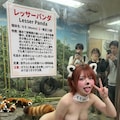 女の子動物園１ 3枚目