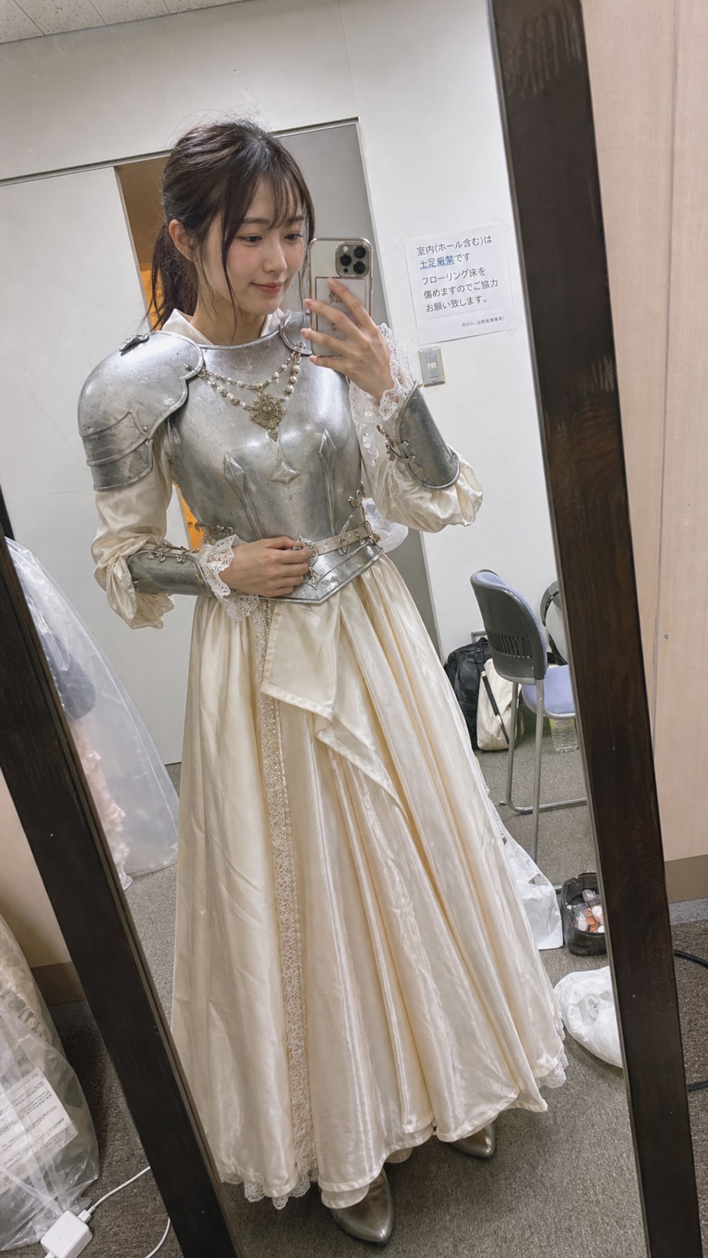 The Princess Who Wore Armor