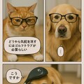 いぬとねこといんこ18 9枚目