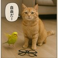 いぬとねこといんこ18 12枚目