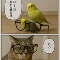 いぬとねこといんこ18 3枚目