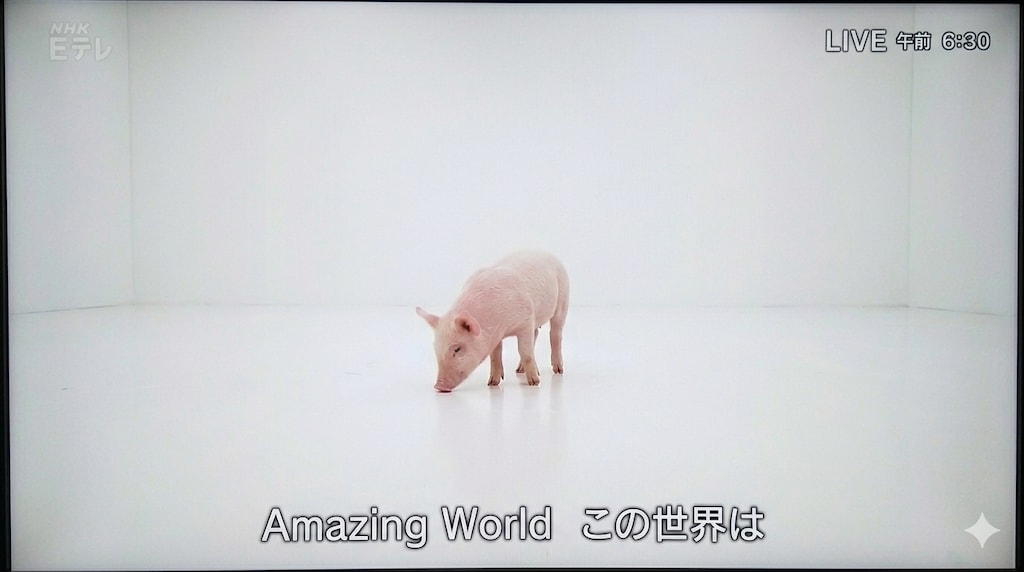 ラジオ体操第百