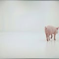 ラジオ体操第百 7枚目