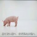 ラジオ体操第百 5枚目