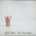 ラジオ体操第百 6枚目