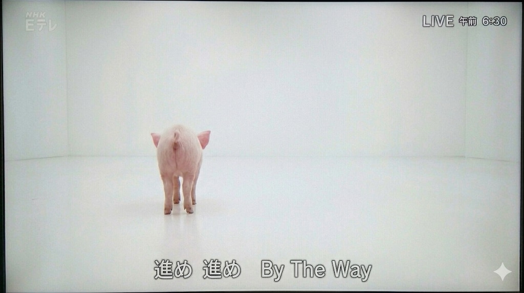ラジオ体操第百