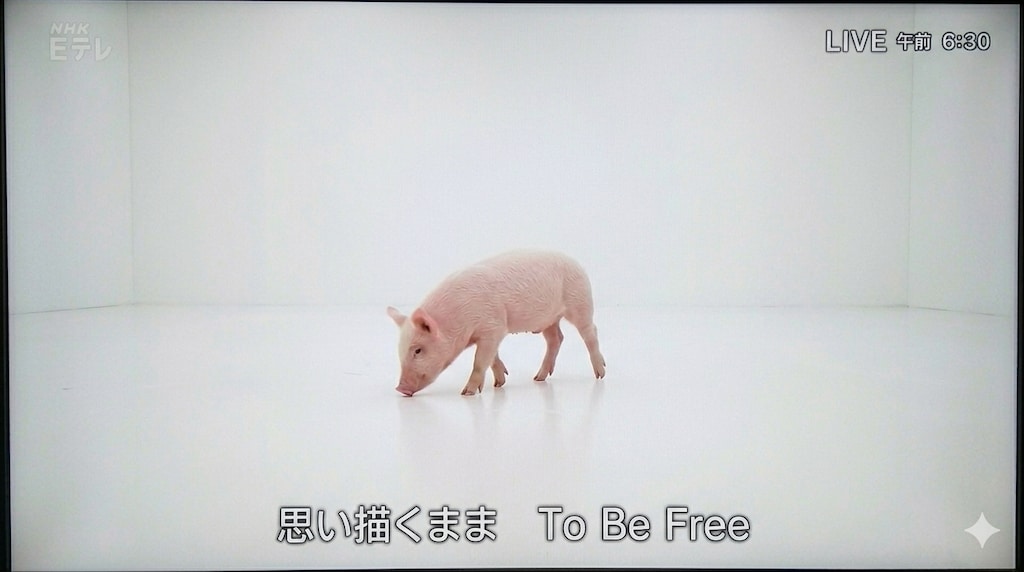 ラジオ体操第百