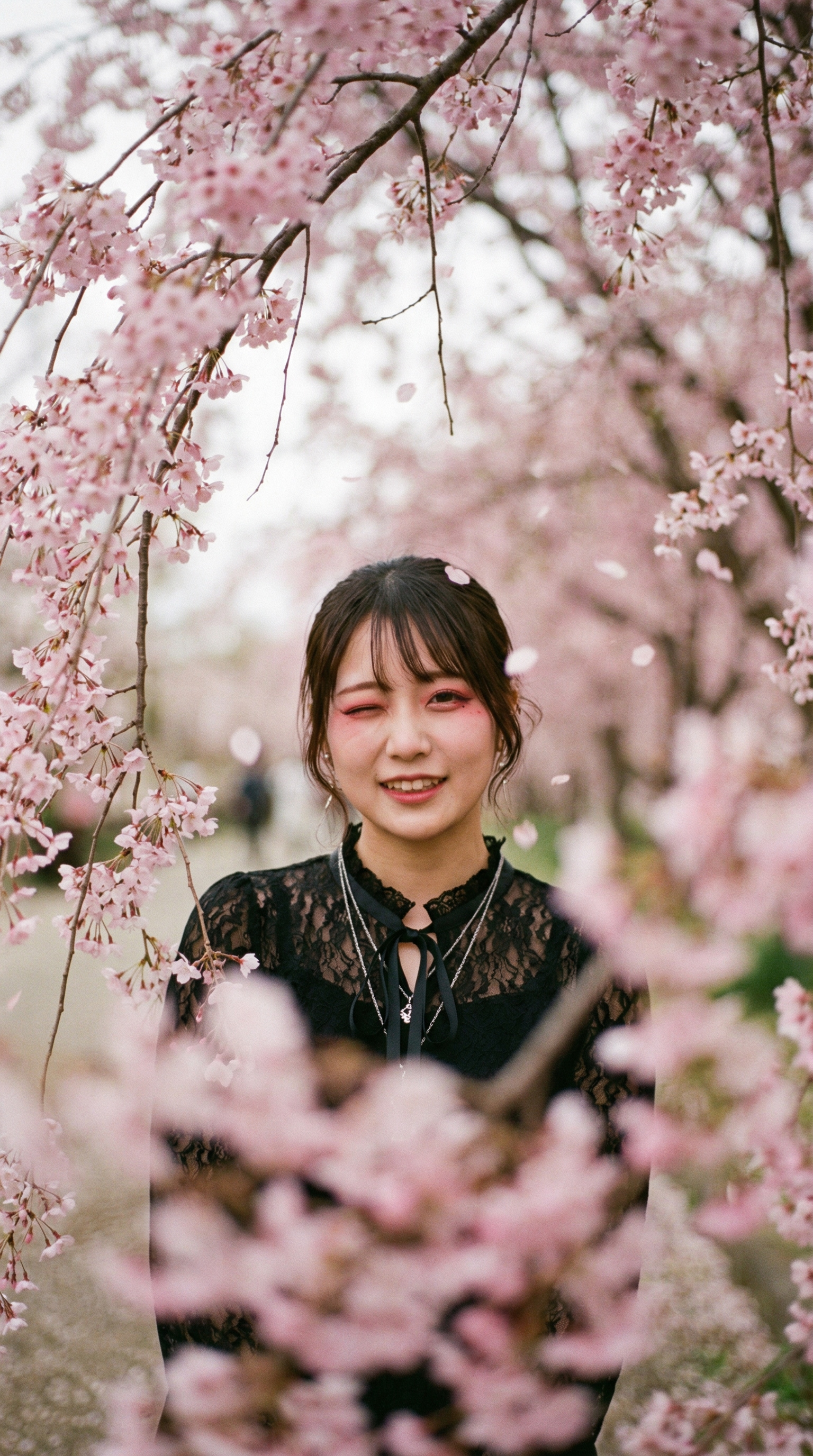 A Wink Among the Blossoms