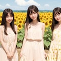 ひまわり畑（３人） No.3 2枚目