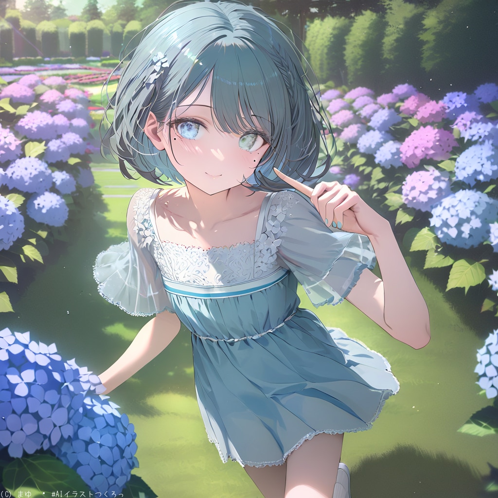 梅雨の晴れ間、紫陽花が綺麗です〜