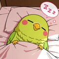 寝言を喋るインコ 4枚目