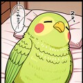 寝言を喋るインコ 2枚目