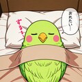 寝言を喋るインコ 7枚目