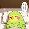 寝言を喋るインコ 5枚目