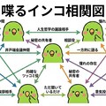 インコの謎相関図 10枚目