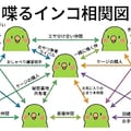 インコの謎相関図 5枚目