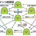 インコの謎相関図 12枚目