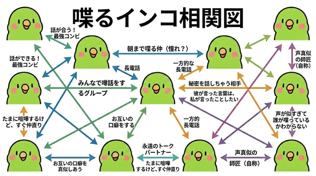 インコの謎相関図