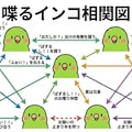 インコの謎相関図 4枚目