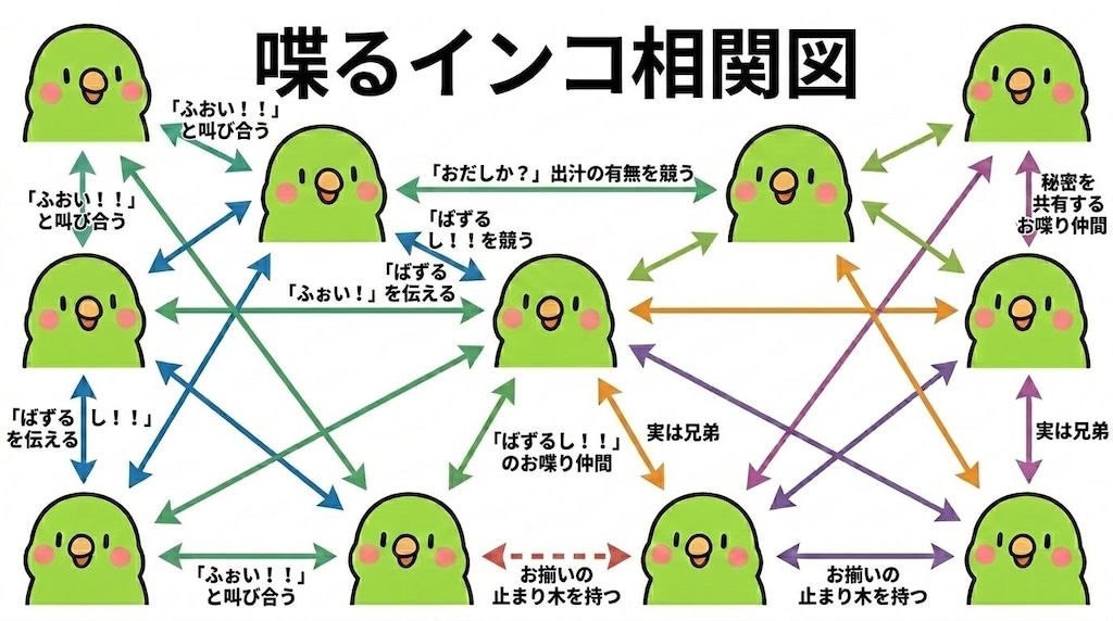 インコの謎相関図