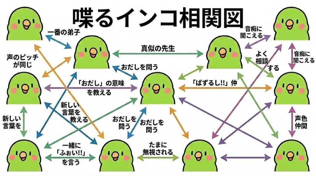 インコの謎相関図