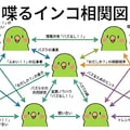 インコの謎相関図 9枚目