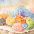陽だまり 4枚目