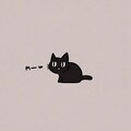 黒猫バリエーション 12枚目