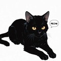 黒猫バリエーション 11枚目