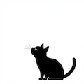黒猫バリエーション 9枚目