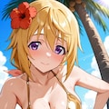 シャルロット・デュノア　水着3 12枚目