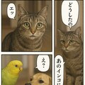 いぬとねこといんこ10 11枚目