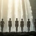 神聖な対称性：形と自然の調和 5枚目