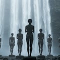 神聖な対称性：形と自然の調和 4枚目