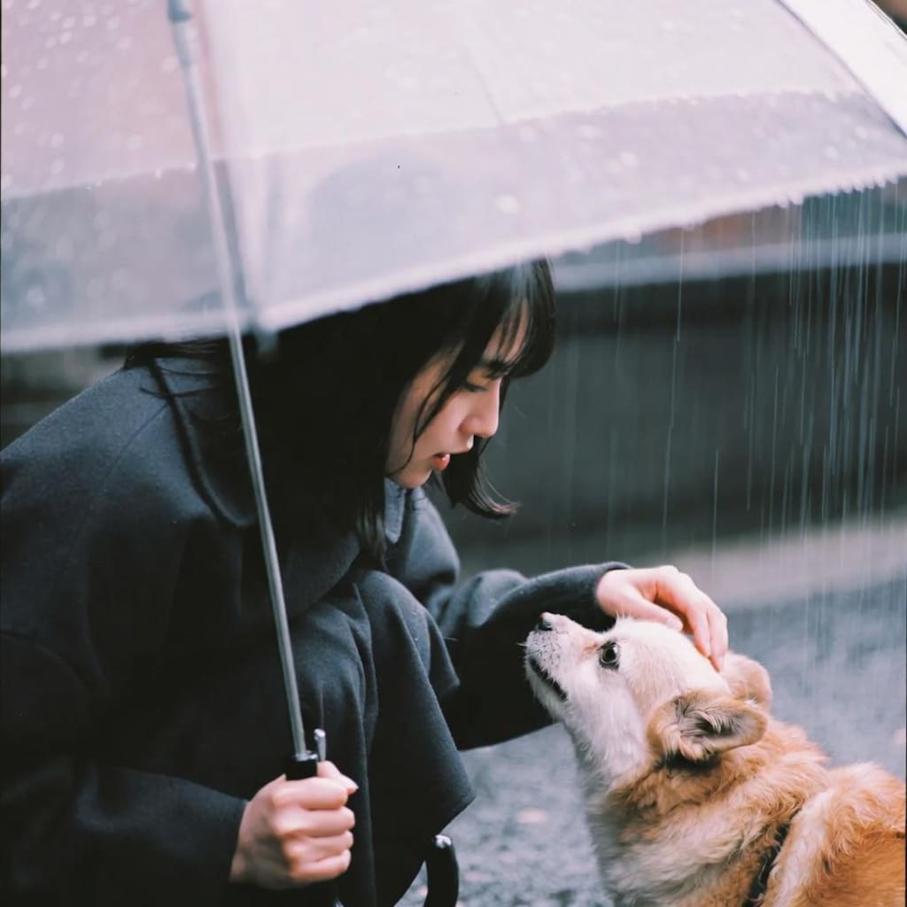 雨