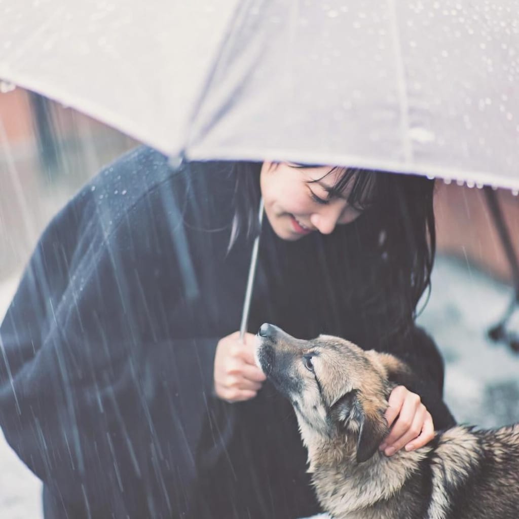 雨