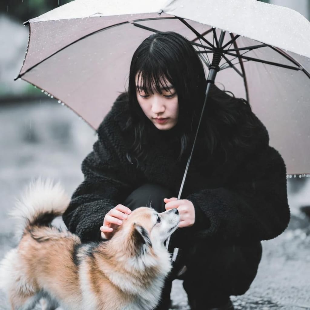 雨