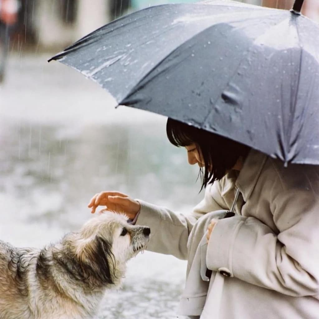 雨