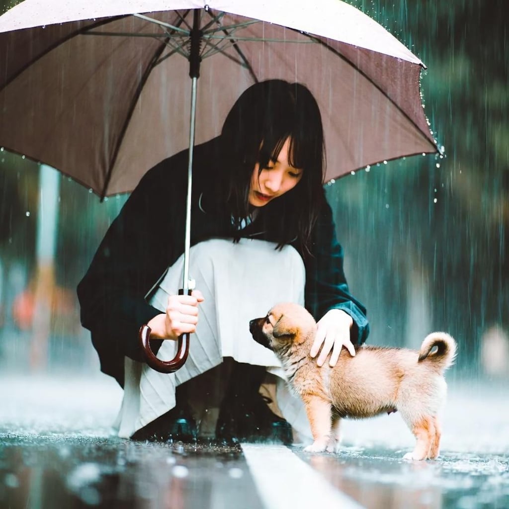 雨