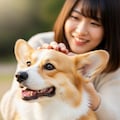 愛犬 4枚目