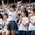 甲子園につれてって 3枚目