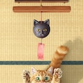 猫と風鈴 2枚目