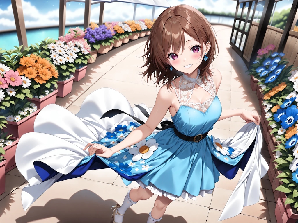 12/2 誕生花 シネラリア