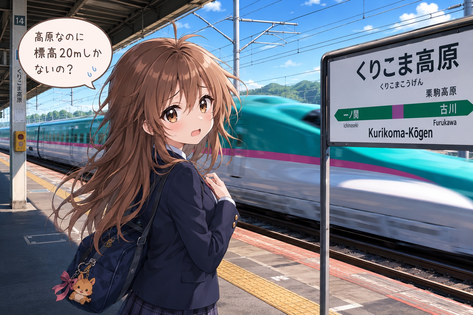 9.「く」→「くりこま高原駅」たいがー