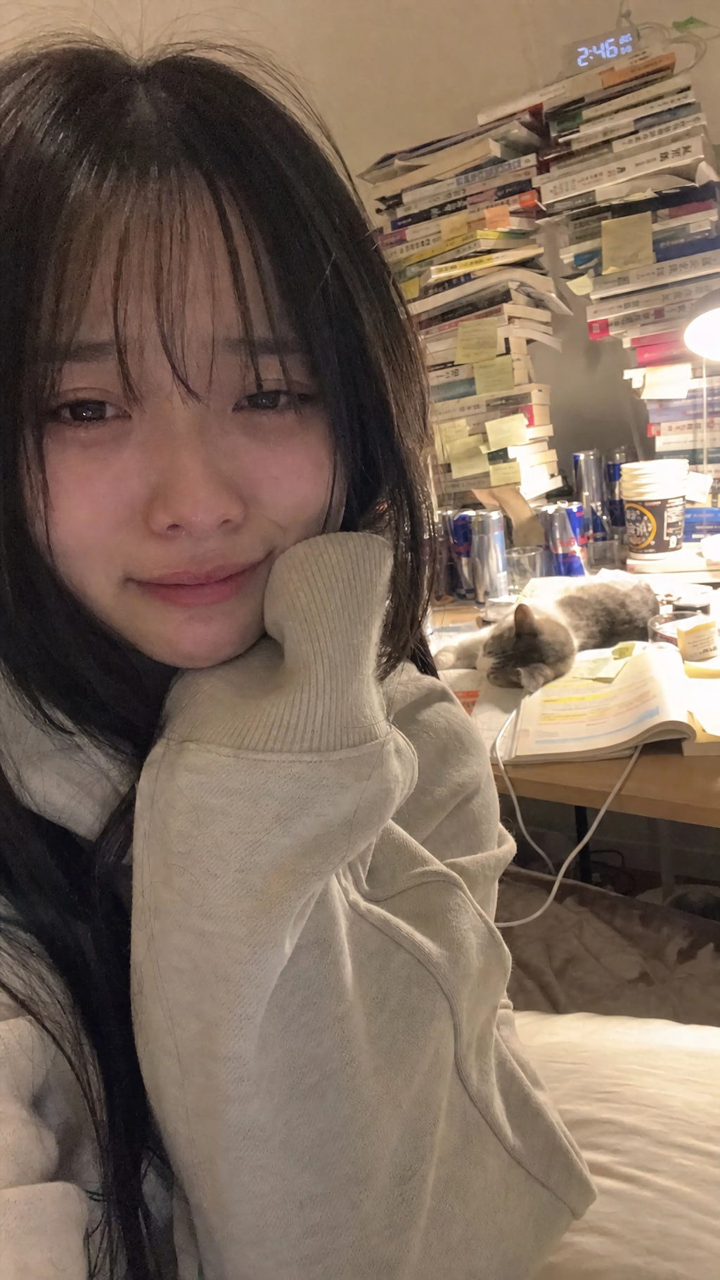 The Collapse of My Motivation