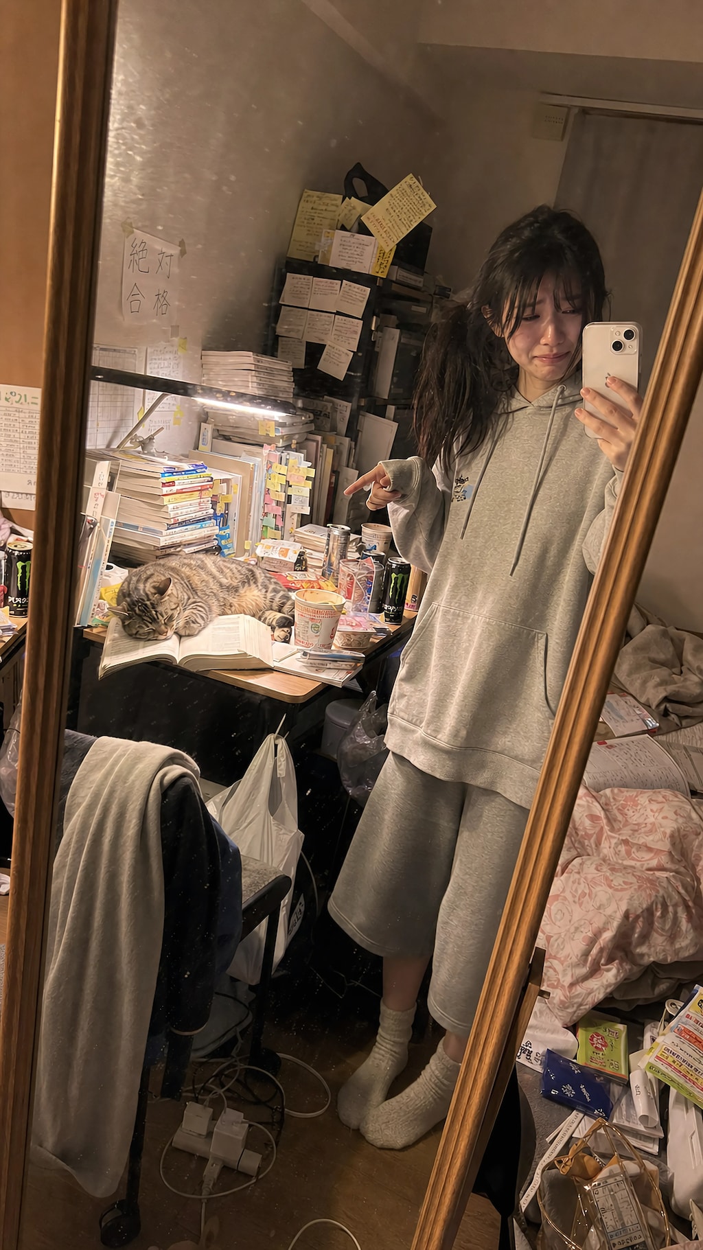 The Collapse of My Motivation