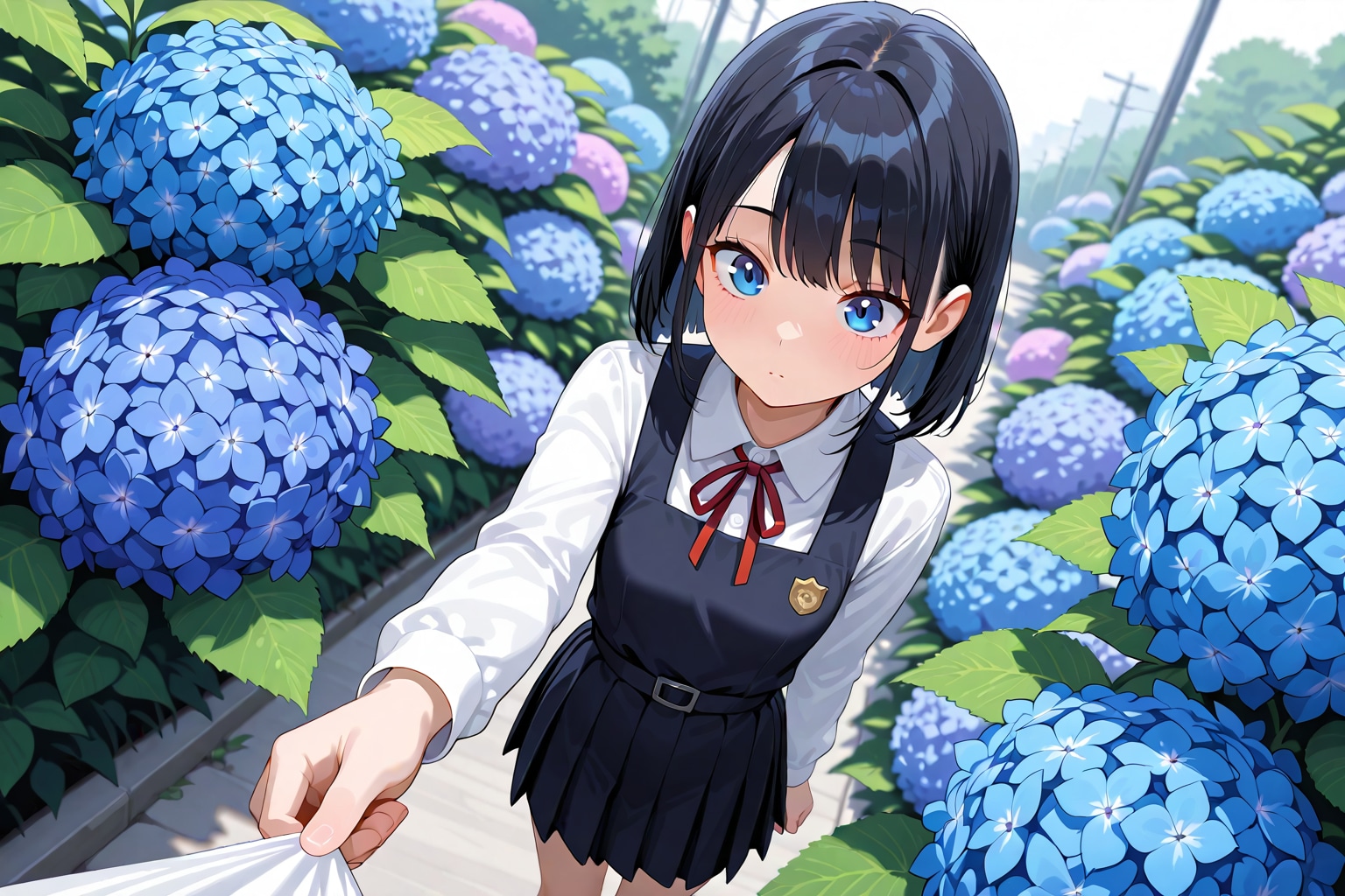 あじさい