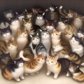 多頭飼い 5枚目