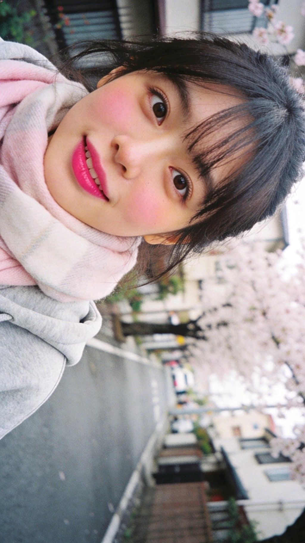 A Blush of Morning Light